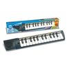 купить Музыкальная игрушка Bontempi 152500 Синтезатор с 25 миди клавишами в Кишинёве 