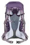 cumpără Rucsac turistic Deuter Futura Pro 34 SL purple-lavender în Chișinău 