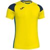 купить Одежда для спорта Joma T-Shirt Crew III Yellow-Navy-Royal S/S (2XS) 101269.907 в Кишинёве 