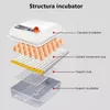 Автоматический инкубатор на 64 яйца