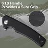 купить Нож походный Sencut S20065-1 Vesperon, G10, Liner Lock в Кишинёве 