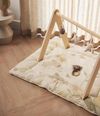 cumpără Jucărie cu pandantiv Jollein 108-001-67083 Set de jucarii pentru Babygym Animals în Chișinău 