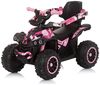 купить Толокар Chipolino ROCAHC02308WP white/pink в Кишинёве 