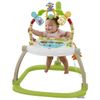 купить Детское кресло-качалка Fisher Price CHN38 Портативное кресло-качалка Джунгли в Кишинёве 