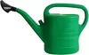 купить Лейка для цветов Rexxon Stropitoare gradina 10L в Кишинёве 
