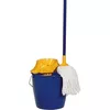 cumpără Accesoriu pentru curățenie Aricasa 813  Star 12 L în Chișinău 