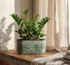 купить Цветочный горшок Idea М3274 Mikrit, 385x180mm, 6L, ovală в Кишинёве 