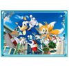 купить Пазл Clementoni Puzzle 4in 1 Sonic (21522) в Кишинёве 