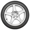 купить Шина Firestone 205/55 R 16 91T TL Winterhawk-4 в Кишинёве 