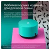 cumpără Boxă portativă Bluetooth Yandex YNDX-00025G Alisa Station Lite Green în Chișinău 