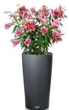 купить Цветочный горшок Lechuza Cilindro Color 23, Slate в Кишинёве 