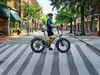 cumpără Bicicletă Sharp BK-FS08E-GY în Chișinău 