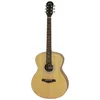 купить Гитара Fiesta Aria FST-F65 N в Кишинёве 