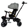 cumpără Bicicletă-cărucior Richi (95728) Tricicleta gri pentru copii (JTRX1) în Chișinău 
