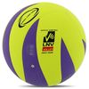 купить Мяч miscellaneous 449 Minge volei FOX 2018-2024 lime в Кишинёве 