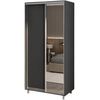 cumpără Dulap my-STYLE C10H1T02AM02-U22, 100x210, антрацит în Chișinău 