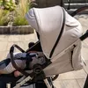 cumpără Сărucior pentru copii Coletto Carucior Dizzi Mint în Chișinău 