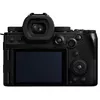 cumpără Aparat foto mirrorless Panasonic DC-S5M2XKEE în Chișinău 