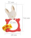 cumpără Iinel dentiție Roxy Kids RBT-001R BUNNY, коралловый în Chișinău 