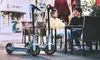 купить Самокат Segway Ninebot G30LP US в Кишинёве 