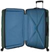 купить Чемодан Samsonite Jetdriver M Verde Olive (150863/1266) в Кишинёве 