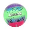 купить Мяч Toi-Toys 62234Z Minge de volei de plajă №5 Adrenix , 4 modele в Кишинёве 