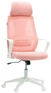 купить Офисное кресло YING trading ROSE 067 в Кишинёве 