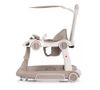 купить Ходунок Chipolino PRHW02503BE 5in1 Happy Walker beige в Кишинёве 