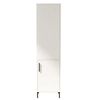 купить Шкаф-пенал Trendy VI1-W 45x173x35cm, multifunctionala (GTR006715) в Кишинёве 