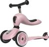 купить Самокат Scoot&Ride 96270 Highway 2in1 Kick 1 Rose в Кишинёве 