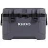 купить Холодильник портативный Dometic Coolbox TRAILMATE 50 Carbonite 47L (97000050998) в Кишинёве 