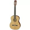 купить Гитара Aria Classic A-10 N в Кишинёве 
