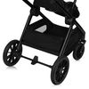 купить Детская коляска Lionelo Carucior 2in1 Layla Black Onyx в Кишинёве 