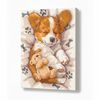 купить Картина по номерам Ideyka KHO6617 30x40cm Eco, Corgi somnoros в Кишинёве 