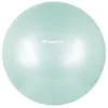 купить Мяч inSPORTline IN29179-2 Minge gimnastica d=65 cm MINT +pompa в Кишинёве 