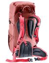 cumpără Rucsac turistic Deuter Climber 22 redwood-hibiscus în Chișinău 
