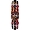 купить Скейтборд Powerslide 880323 Playlife, Super Charger, 31inch в Кишинёве 