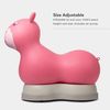 cumpără Tolocar Micro HP0006 Ride-on Air Hopper II Pink în Chișinău 