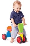купить Толокар Viga 59693 Tiny Trike в Кишинёве 