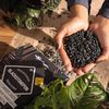 купить Субстрат для растений Lechuza Blackstonepon, 12l в Кишинёве 