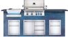 купить Мангал Napoleon BIPRO 500 incorporat, arzator cu infrarosu, inox (BIPRO500RBPSS) в Кишинёве 