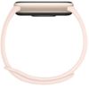 cumpără Fitness-tracker Xiaomi Smart Band 9 Titan în Chișinău 