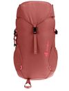 cumpără Rucsac turistic Deuter Climber 22 redwood-hibiscus în Chișinău 