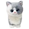 купить Мягкая игрушка TY TY37411 Pisica Furley 15cm (Beanie Boos) в Кишинёве 
