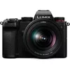купить Фотоаппарат беззеркальный Panasonic DC-S5KEE-K в Кишинёве 