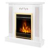 купить Камин электрический ArtFlame Smile white & Gala gold в Кишинёве 