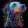 cumpără Tablou pe numere Strateg 58075 Caine colorat 40x40cm (fundal negru) în Chișinău 