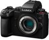 купить Фотоаппарат беззеркальный Panasonic Lumix DC-G9M2EE в Кишинёве 