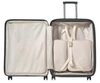 купить Чемодан Samsonite Paralux Hs 75/28 TSA Exp Olive (156526/1633) в Кишинёве 