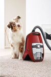 купить Пылесос с контейнером Miele Blizzard CX1 Cat&Dog PowerLine в Кишинёве 